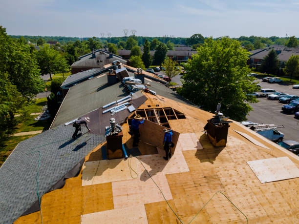 Trusted Roof Replacement service in Carr, CO - Brentwood Metal Roofing